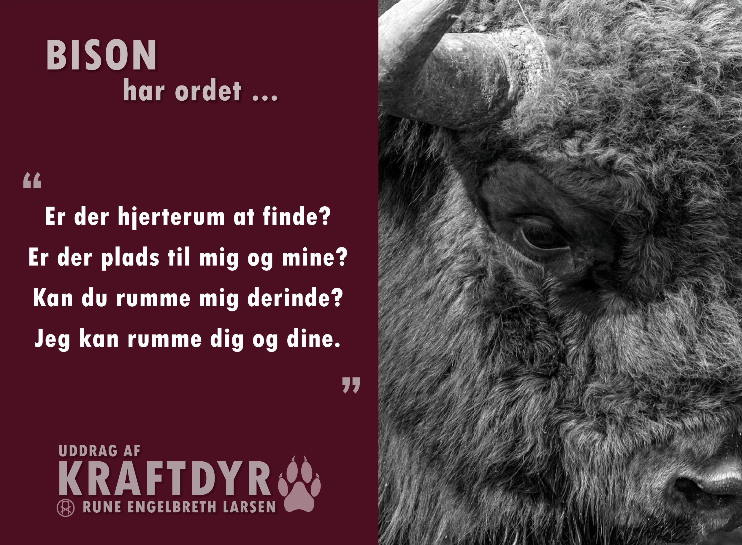 kraftdyr.0.bison