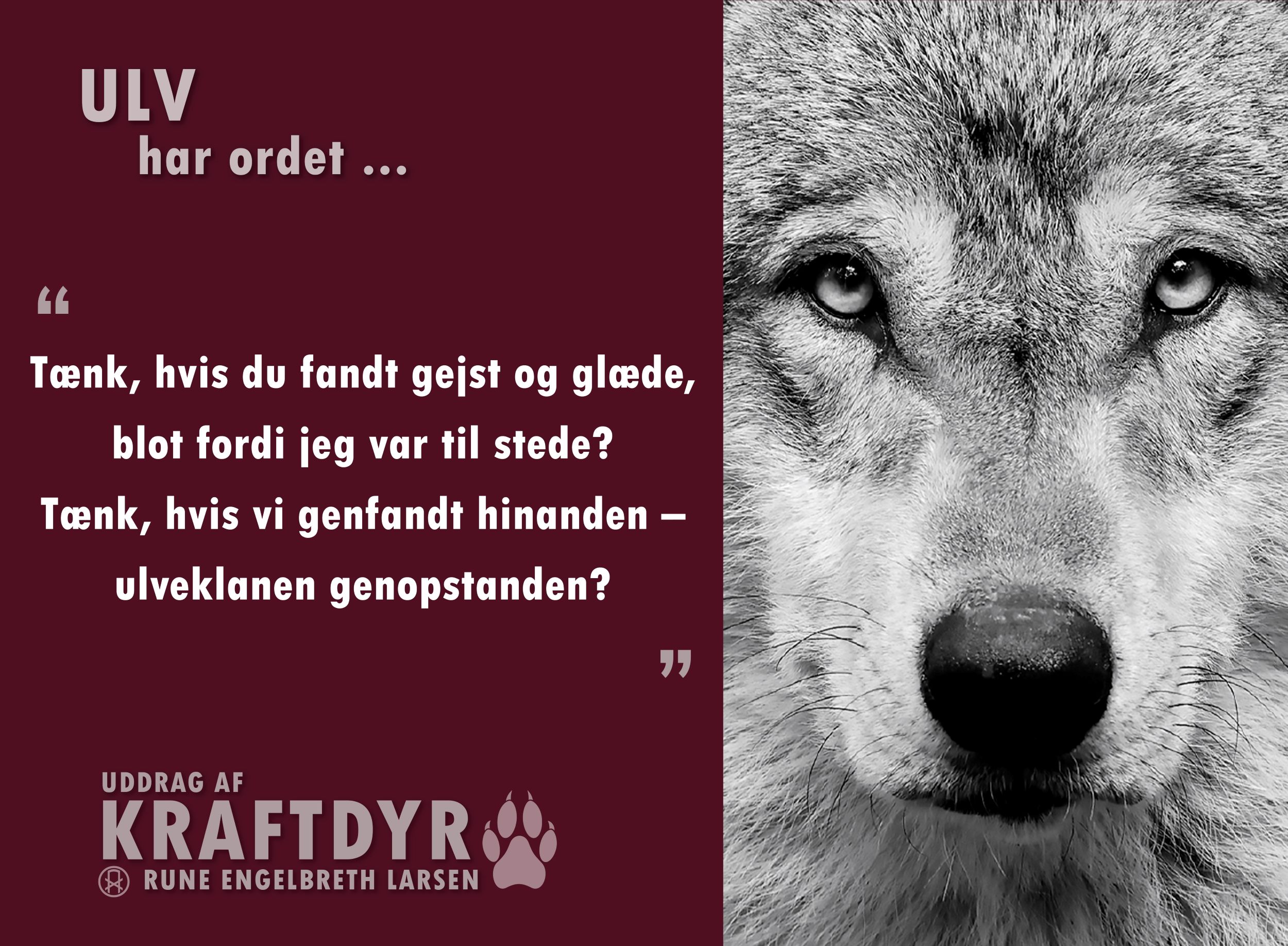 kraftdyr.0.ulv.A