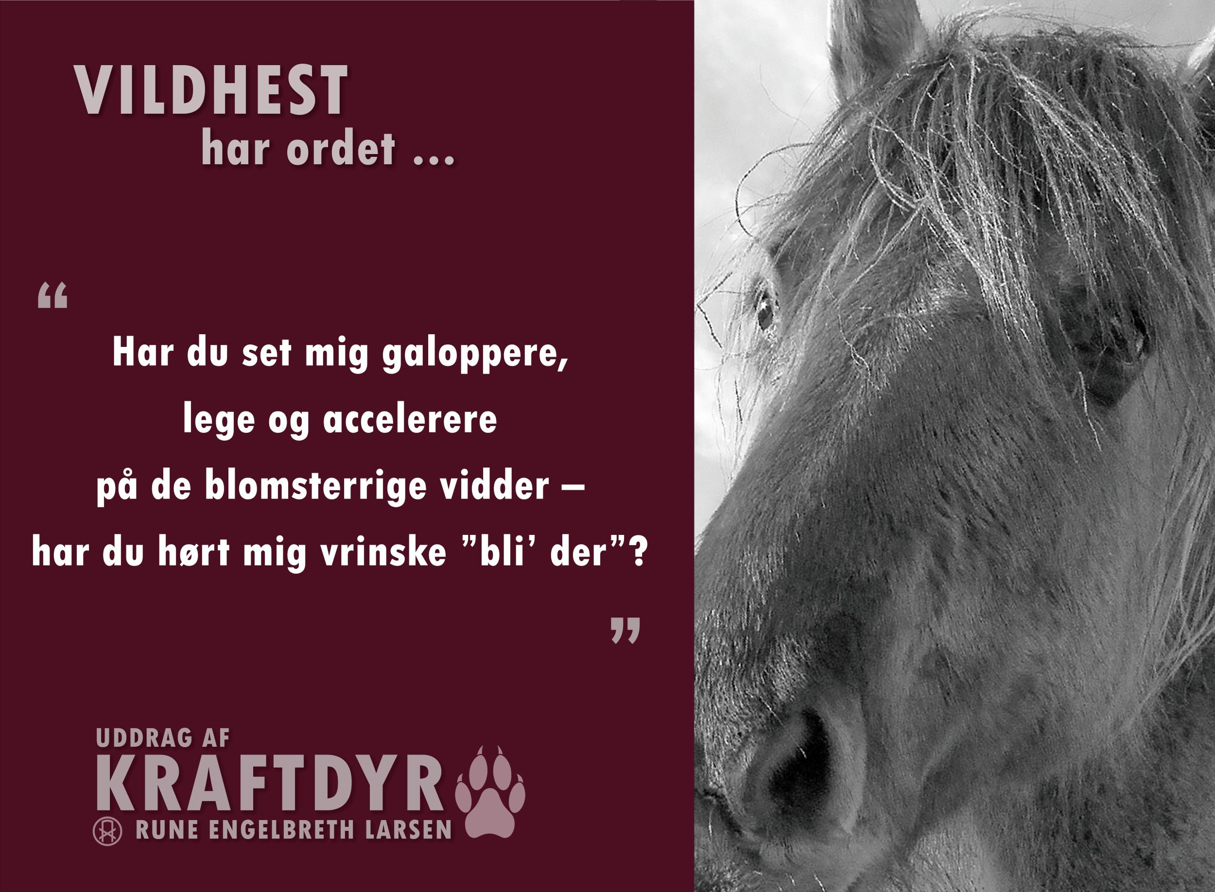 kraftdyr.0.vildhest.A